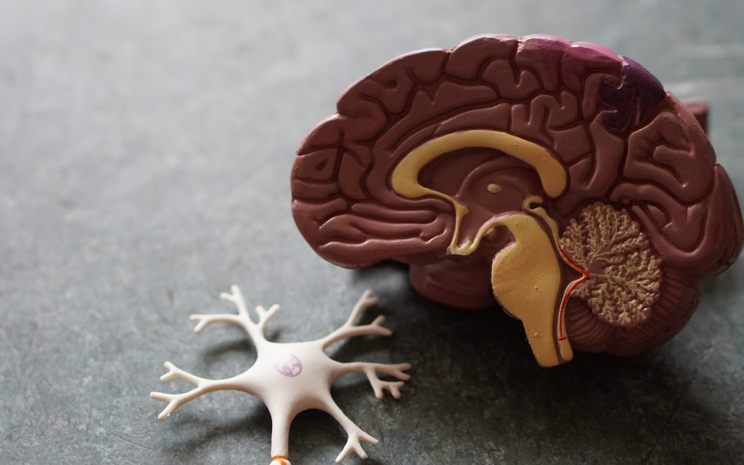 How LED lighting can help with Alzheimer’s disease